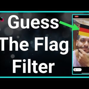 How To Get Guess The Flag Filter On TikTok