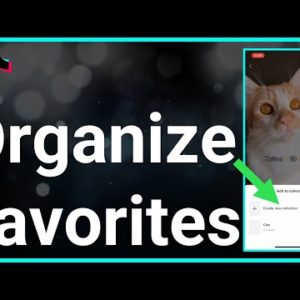 How To Organize Favorites On TikTok