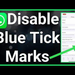 How To Remove Two Blue Tick Marks On WhatsApp