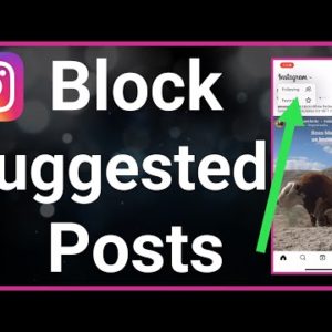 How To Block Suggested Posts On Instagram